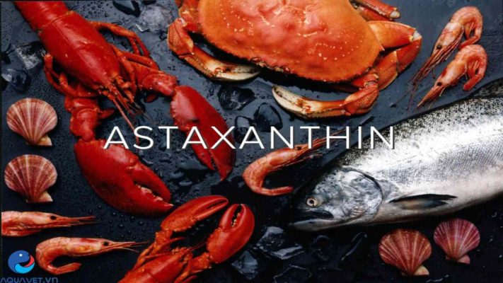 Astaxanthin là gì