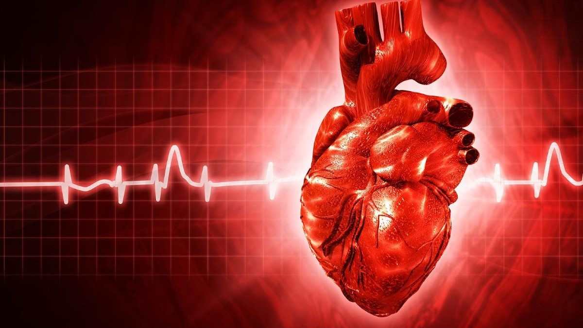 Loạn nhịp tim là gì? Nguyên nhân, triệu chứng và cách phòng tránh hiệu quả