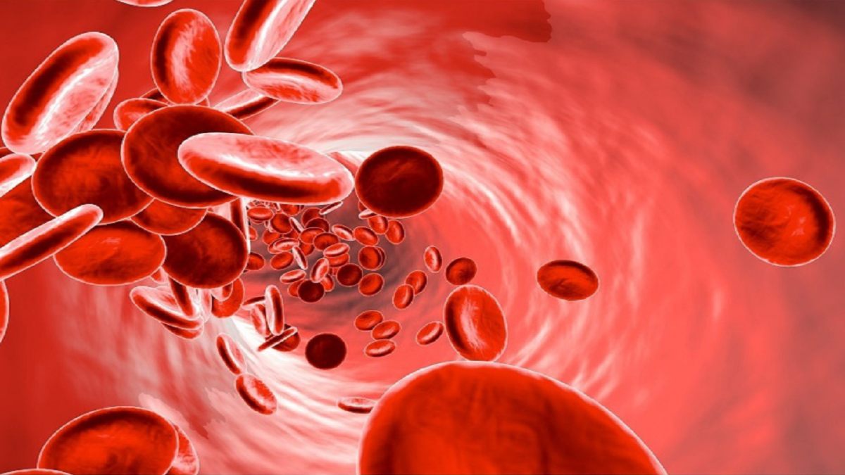 Mất máu nhiều nên ăn gì