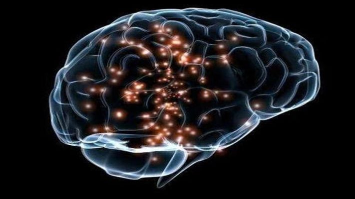 Neurogenesis là gì? Giải mã quá trình tạo mới tế bào não