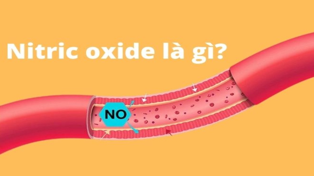 Nitric oxide là gì? Giải mã vai trò quan trọng trong cơ thể