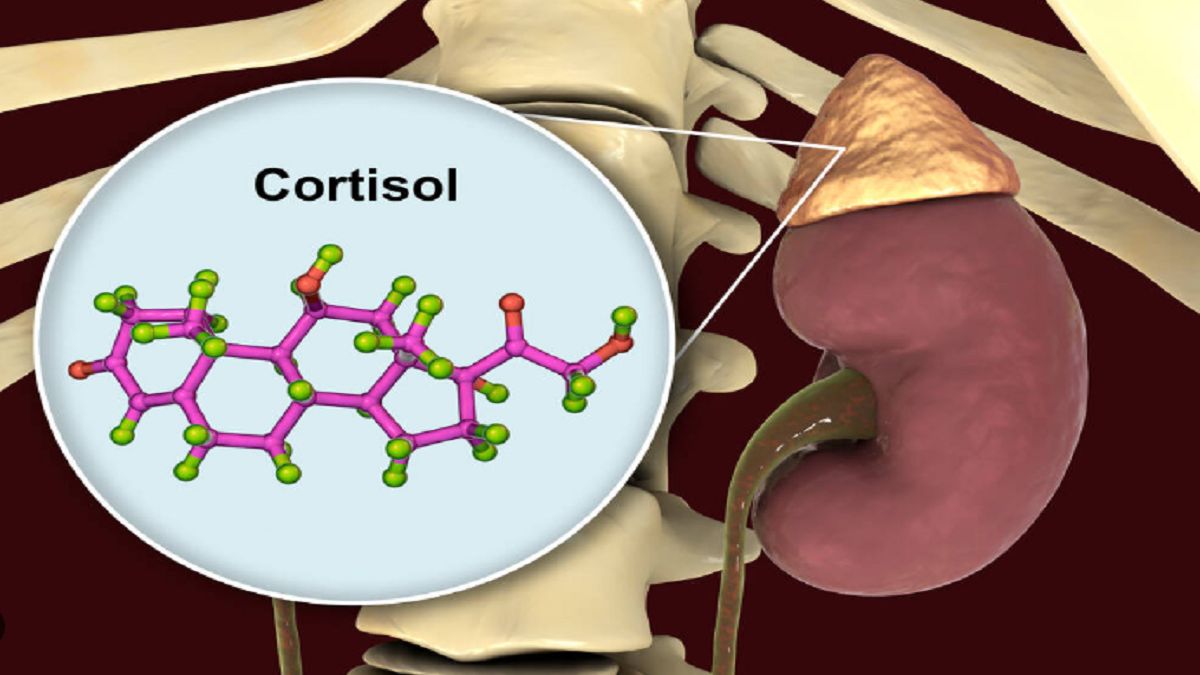 Cortisol bao nhiêu là bình thường