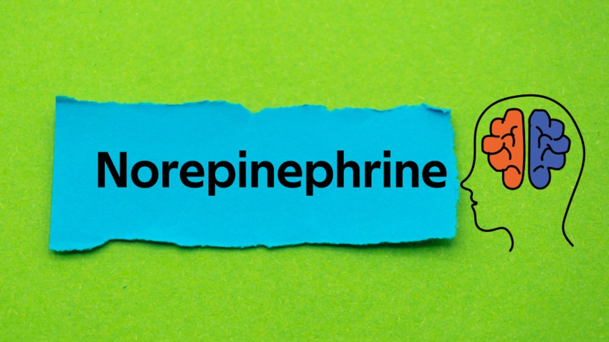 Norepinephrine hormone