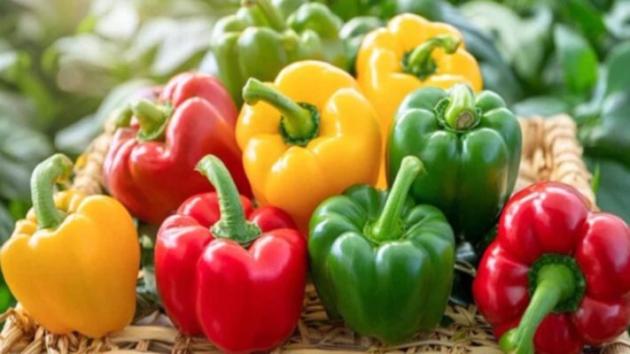 Ăn ớt chuông có tốt không