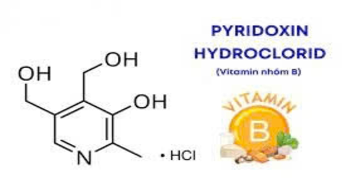 pyridoxine hcl là gì