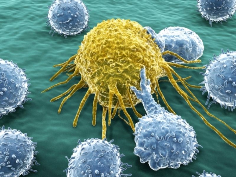 Suy giảm miễn dịch và nguy cơ mắc ung thư có mối quan hệ mật thiết