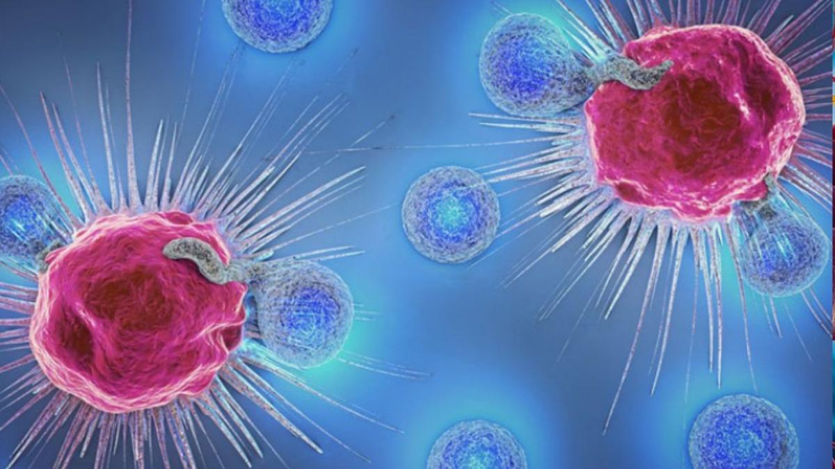 Tế bào miễn dịch NK là gì