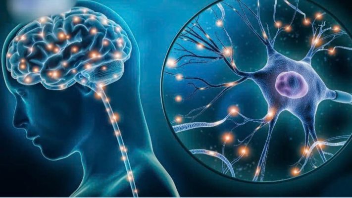 Tế bào thần kinh đệm