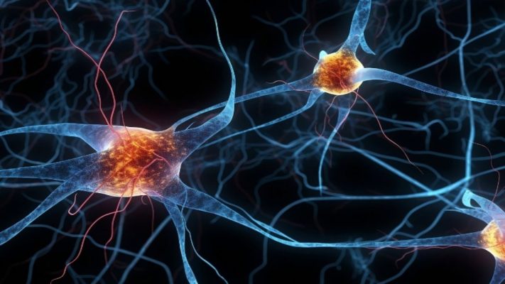 Tế bào thần kinh