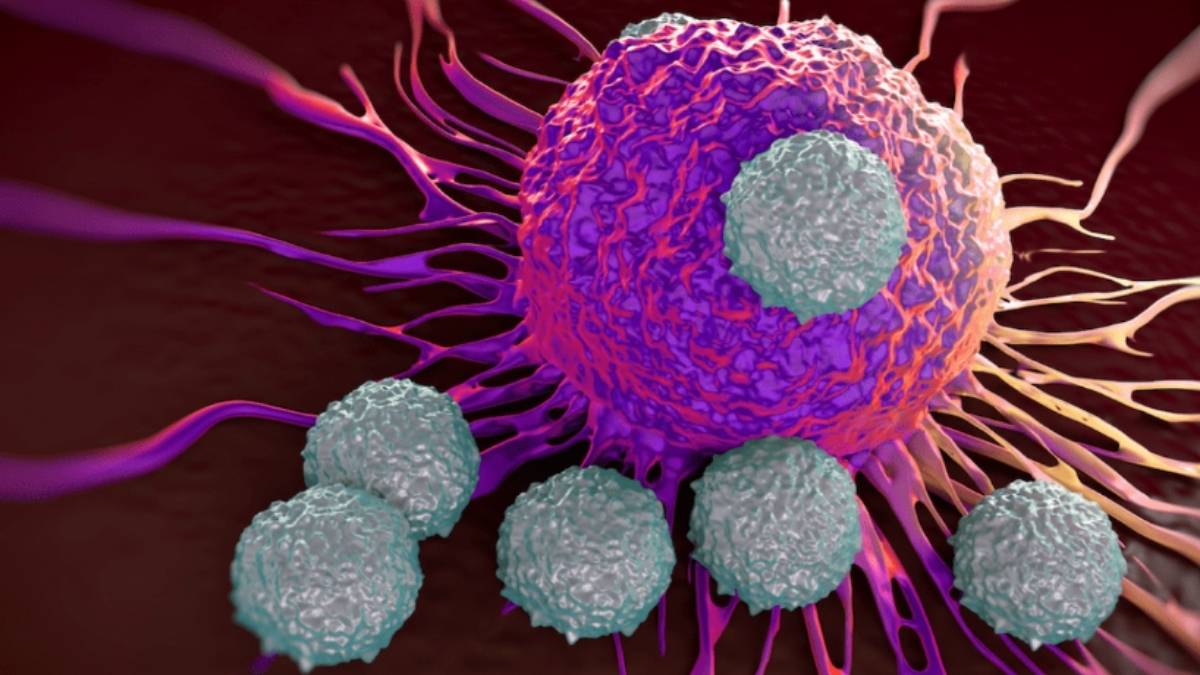 Tế bào ung thư gây suy giảm miễn dịch