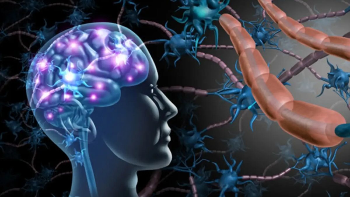 Thoái hóa thần kinh là gì