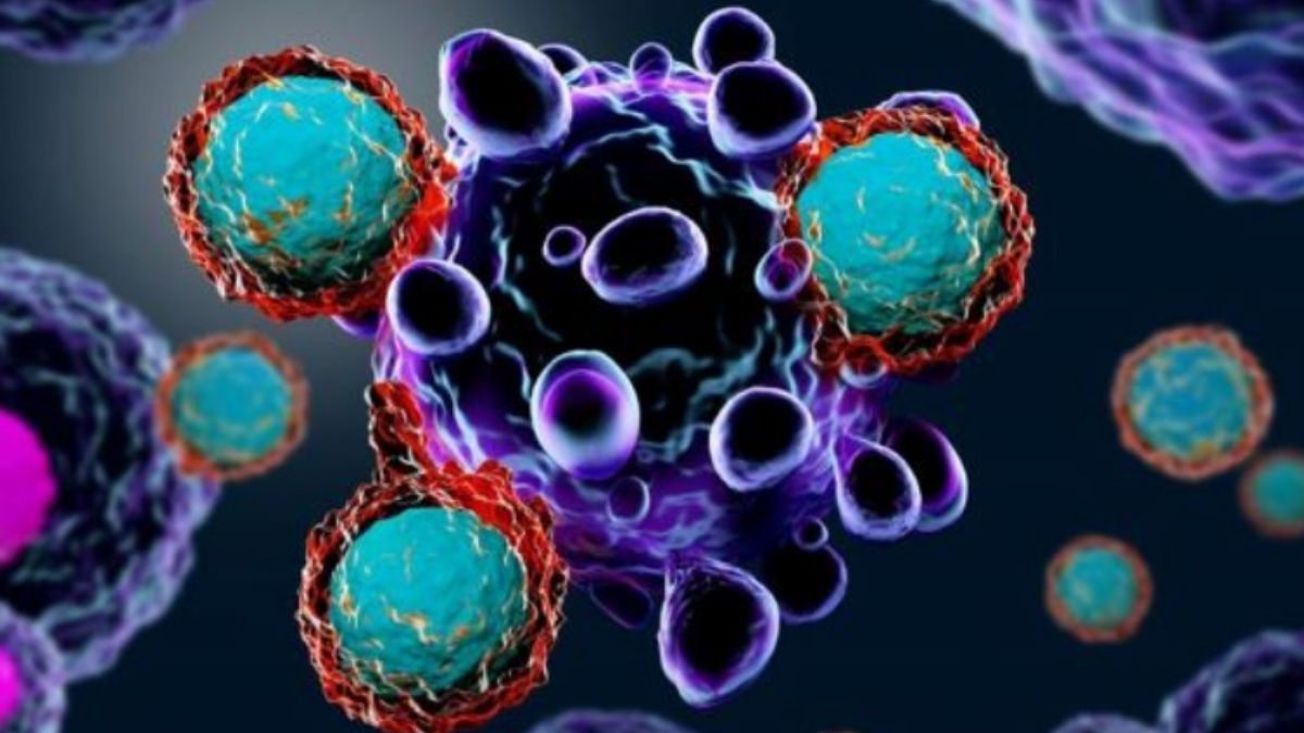 truyền miễn dịch cho bệnh nhân ung thư