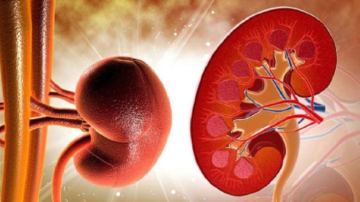 Uống kẽm có hại thận không