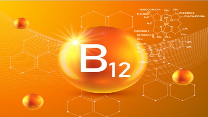Vitamin B12 có trong loại hạt nào