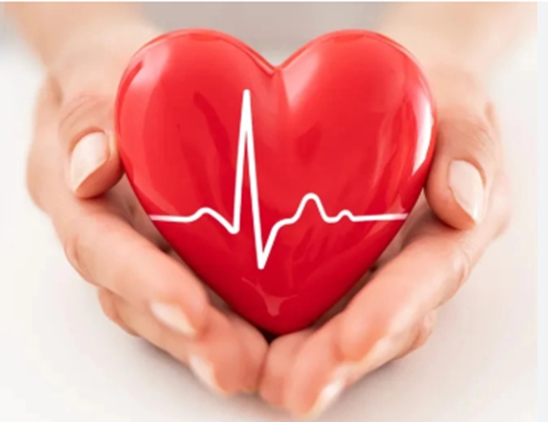 Vitamin b12 bảo vệ sức khỏe tim mạch nhờ kiểm soát mức homocysteine (Ảnh: Sưu tầm Internet)