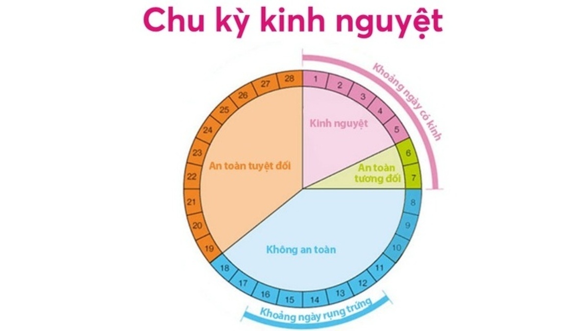 1 chu kỳ kinh nguyệt bao nhiêu ngày: Bí quyết cân bằng hormone