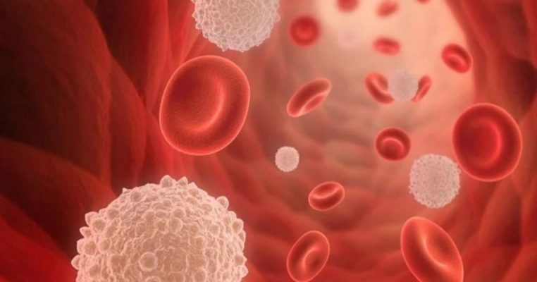 Đại thực bào ảnh hưởng thế nào đến sức đề kháng của cơ thể?