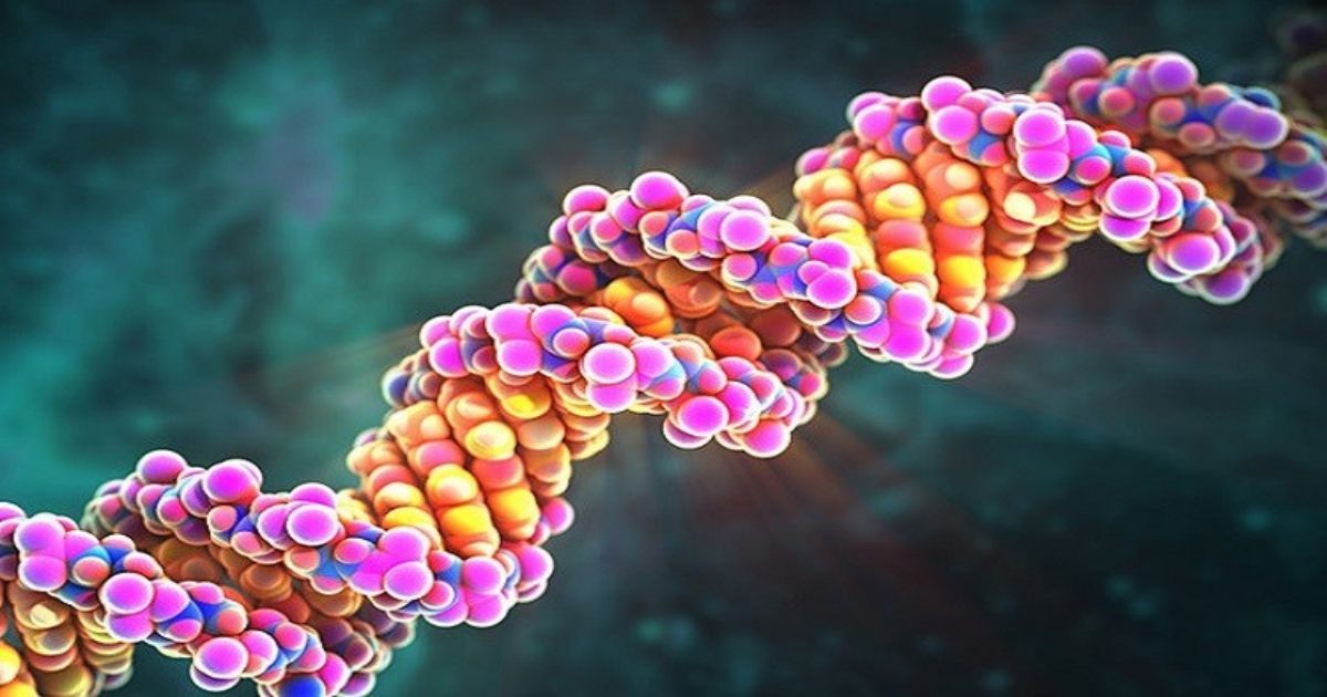 Cơ chế phát sinh đột biến gen: Vì sao ADN có thể bị thay đổi?