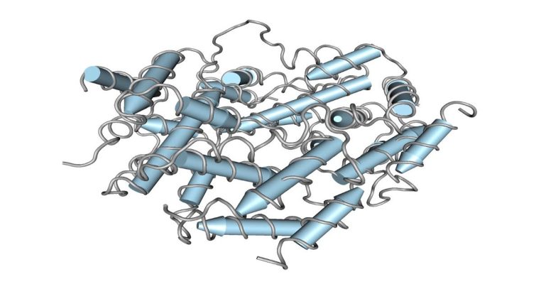 Interferon – “Lá chắn tự nhiên” của hệ miễn dịch bạn cần biết