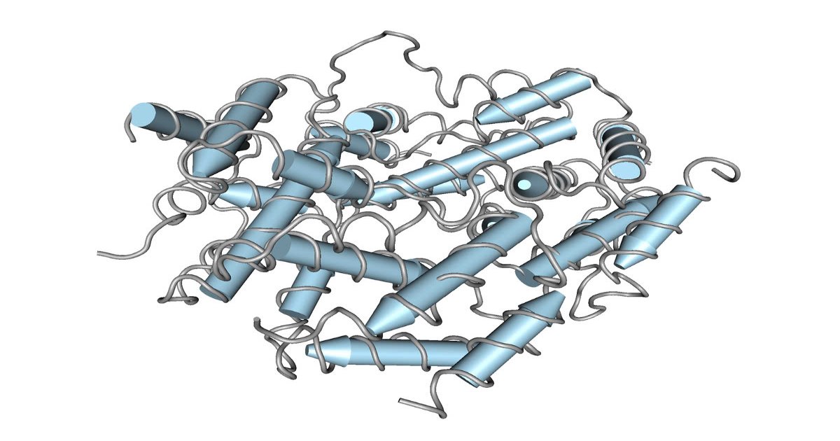 Interferon – “Lá chắn tự nhiên” của hệ miễn dịch bạn cần biết