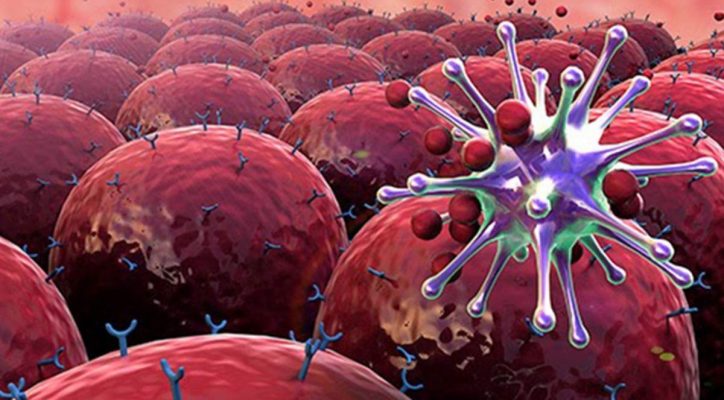 Interleukin – Chìa khóa kiểm soát viêm và cân bằng miễn dịch