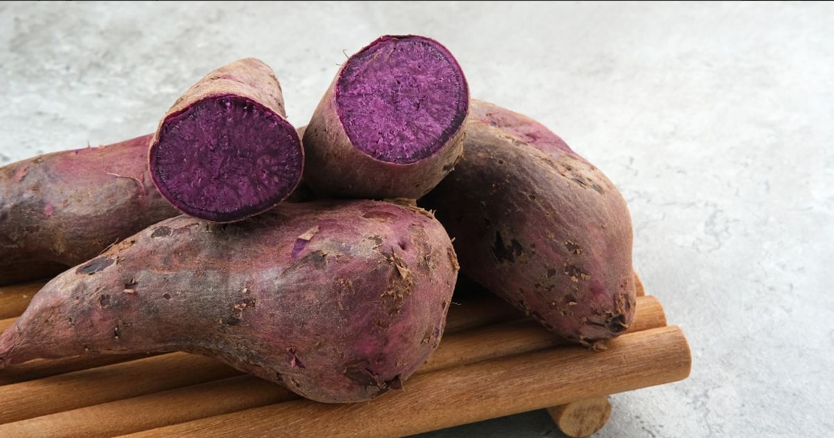 Khoai lang tím có tác dụng gì giúp bảo vệ hệ miễn dịch?
