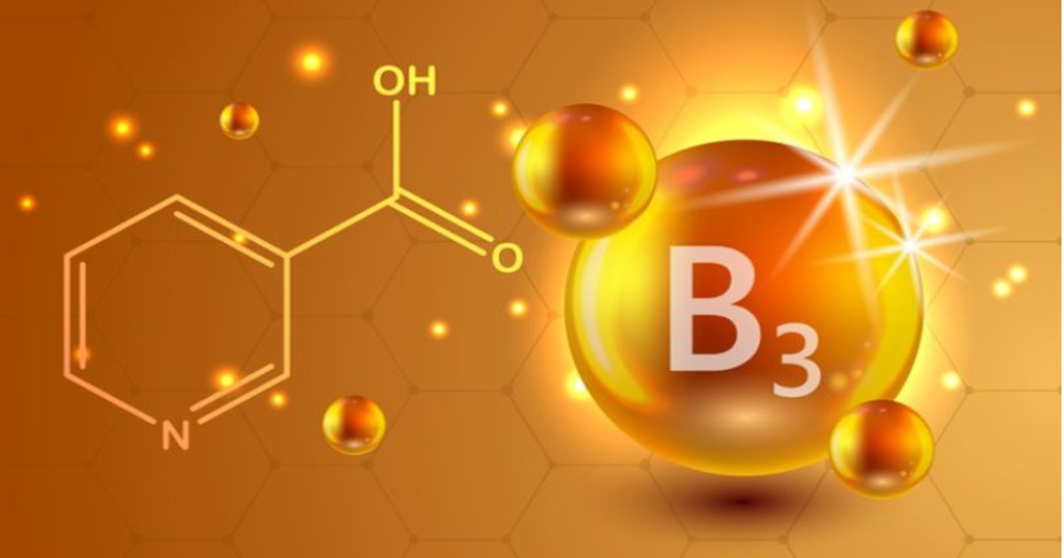 Vitamin B3: Dấu hiệu thiếu hụt và cách bổ sung đúng chuẩn