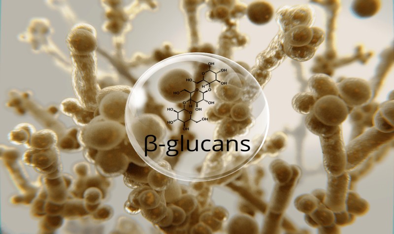 B-glucan là polysaccharide sinh học quan trọng với sức khỏe (Ảnh: Sưu tầm Internet)
