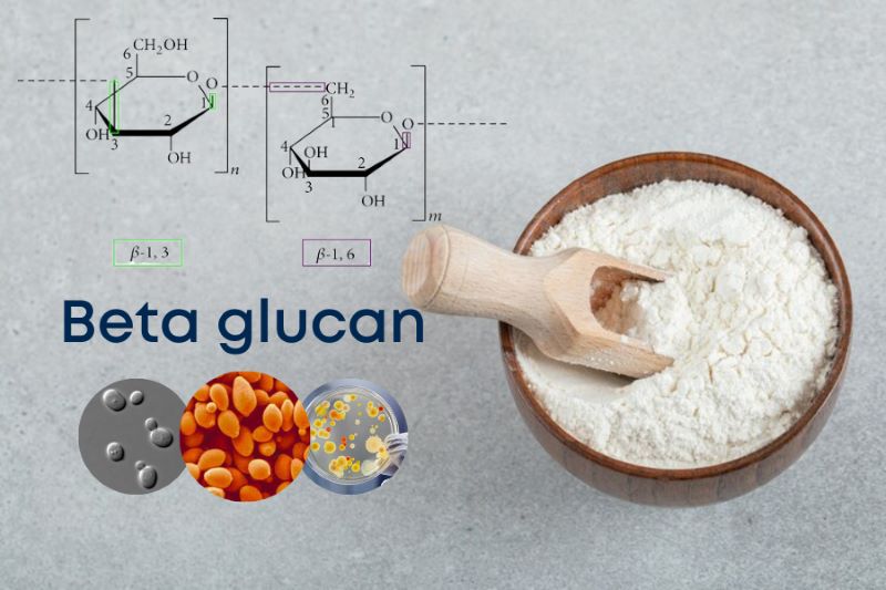 Beta-glucan là một loại polysaccharide – tức đường phức – tự nhiên (Ảnh: Sưu tầm Internet)