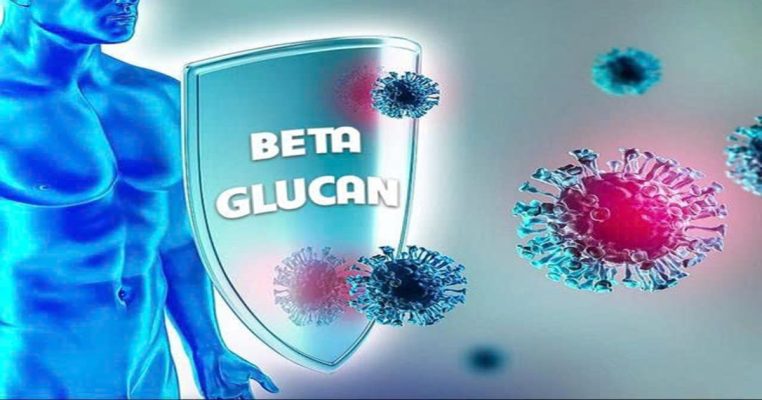 Beta-glucan có tác dụng gì với hệ miễn dịch?