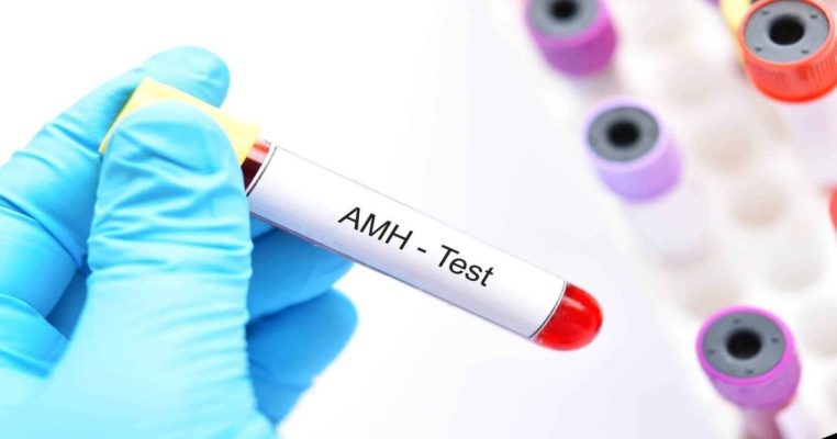 Chỉ số AMH nói lên điều gì về khả năng sinh sản nữ?