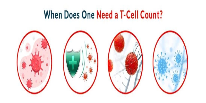 Chỉ số tế bào T là thông số phản ánh số lượng và tỷ lệ tế bào lympho T trong mẫu máu ngoại vi (Ảnh: Sưu tầm Internet)