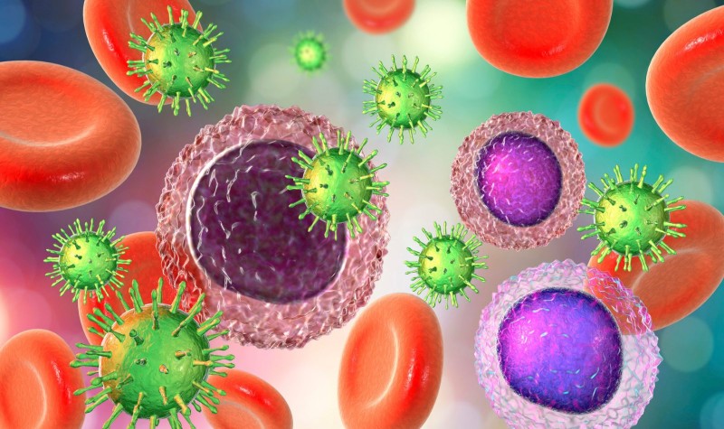 Đại thực bào (Macrophage) là một loại tế bào miễn dịch quan trọng thuộc hệ bạch cầu (Ảnh: Sưu tầm Internet)