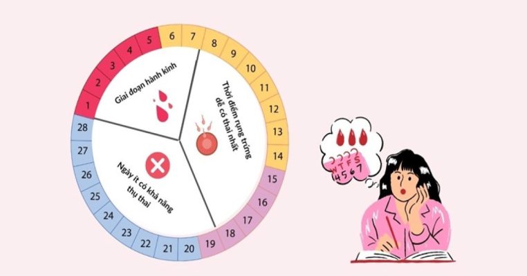 Dấu hiệu rụng trứng: Nhận biết dễ dàng để tăng cơ hội thụ thai