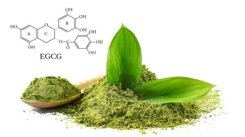 EGCG làm dịu phản ứng viêm trong cơ thể (Ảnh: Sưu tầm Internet)