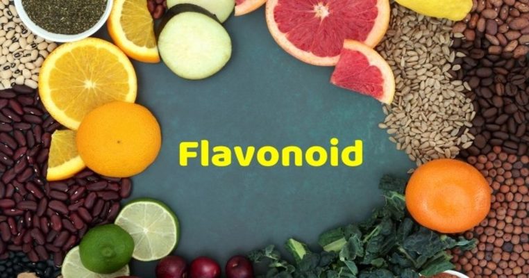 Flavonoid là gì? Nhóm hợp chất chống oxy hóa quan trọng
