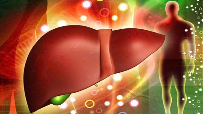 Gan là “nhà máy hóa học” chính trong đào thải độc tố trong cơ thể Gan là “nhà máy hóa học” chính trong đào thải độc tố trong cơ thể
