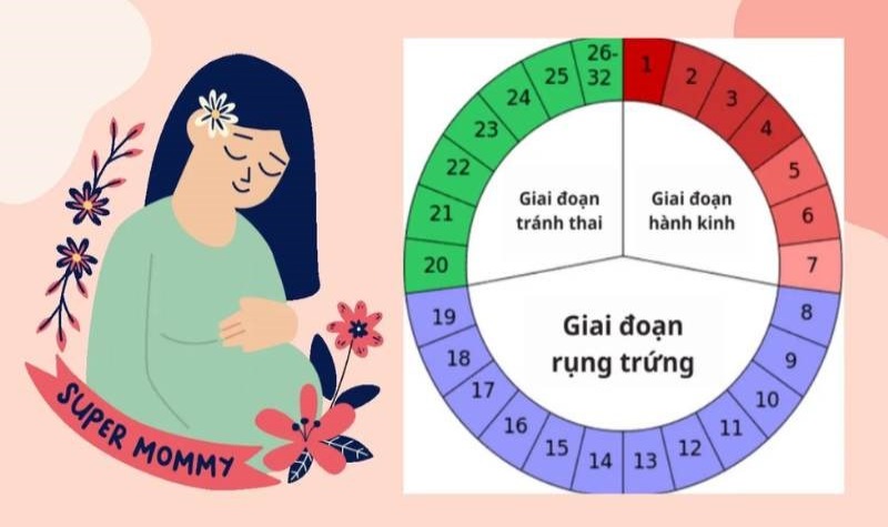 Nhiều người quan tâm đến việc hết kinh bao nhiêu ngày thì rụng trứng? (Ảnh sưu tầm Internet)