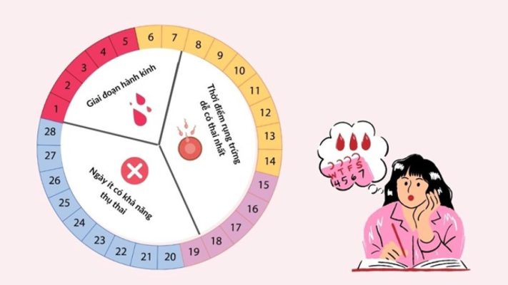 Hết kinh bao nhiêu ngày thì rụng trứng? Thời điểm thụ thai tốt nhất