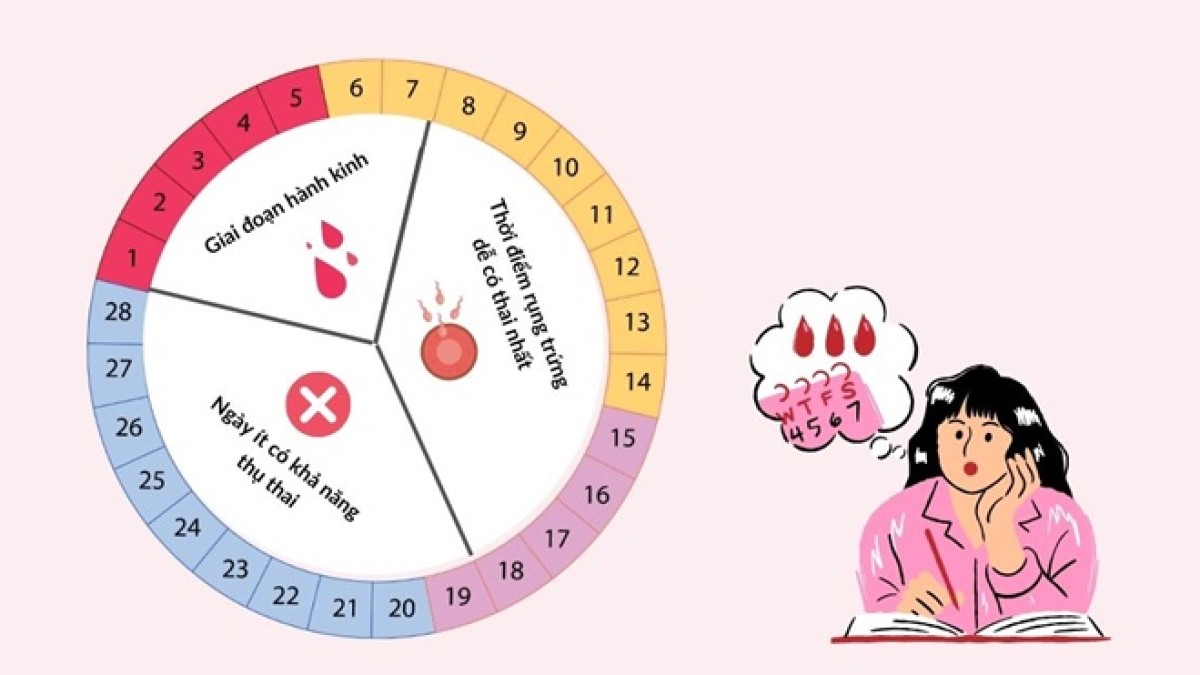 Hết kinh bao nhiêu ngày thì rụng trứng? Thời điểm thụ thai tốt nhất