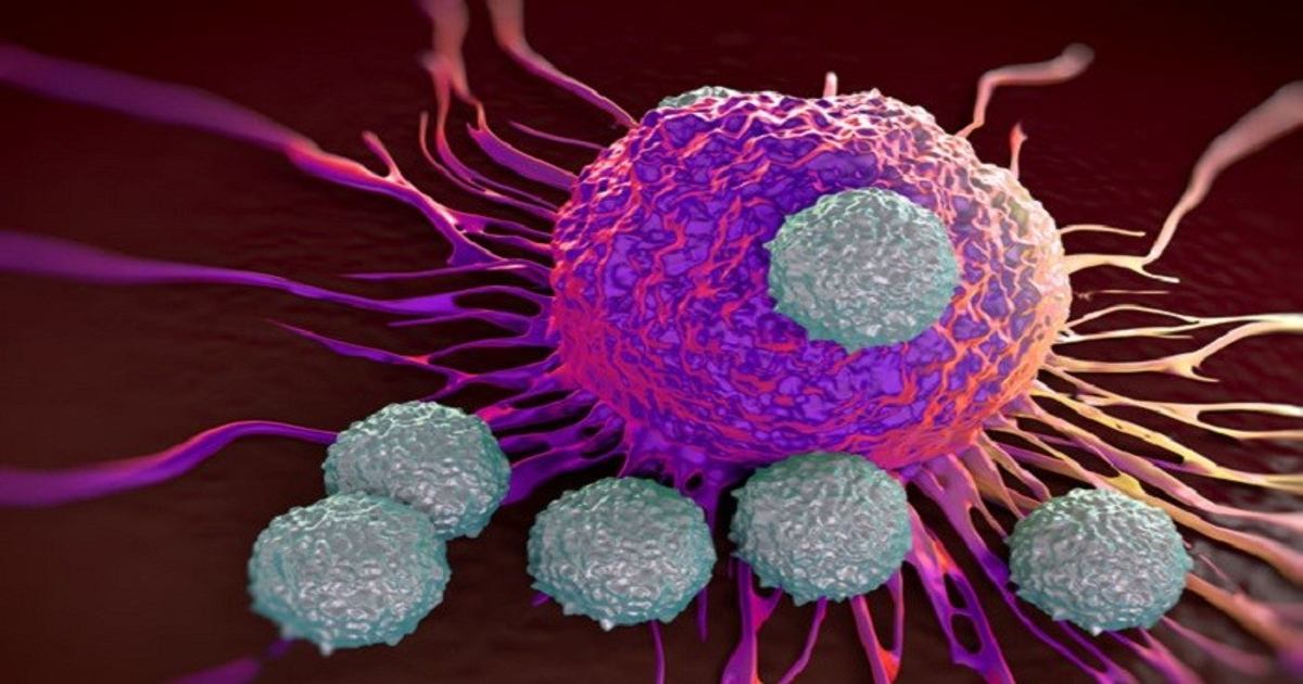 Hoạt tính tế bào NK: Cơ chế tiêu diệt tế bào nhiễm bệnh