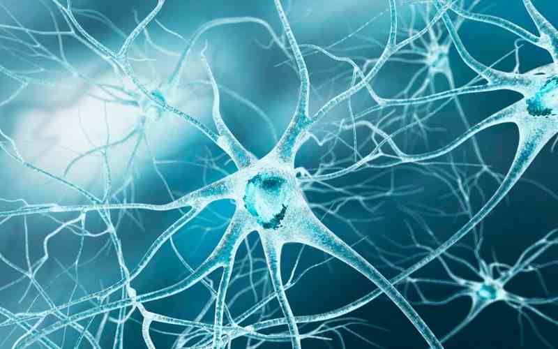 Interleukin đóng vai trò “thông tin liên lạc” giữa các tế bào miễn dịch (Ảnh: Sưu tầm Internet)