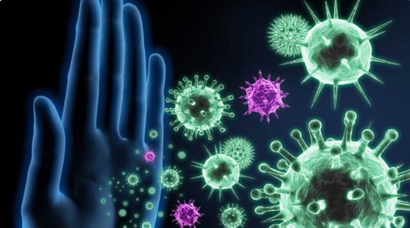 Interleukin tham gia vào hoạt động miễn dịch của cơ thể (Ảnh: Sưu tầm Internet)