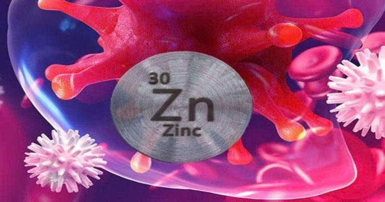 Kẽm tăng đề kháng: Cơ chế hỗ trợ hệ miễn dịch từ bên trong