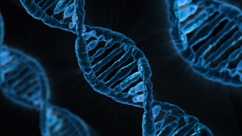 Gen bị lỗi là một trong những nguyên nhân gây nên tình trạng suy giảm miễn dịch nguyên phát (Ảnh: Sưu tầm Internet)