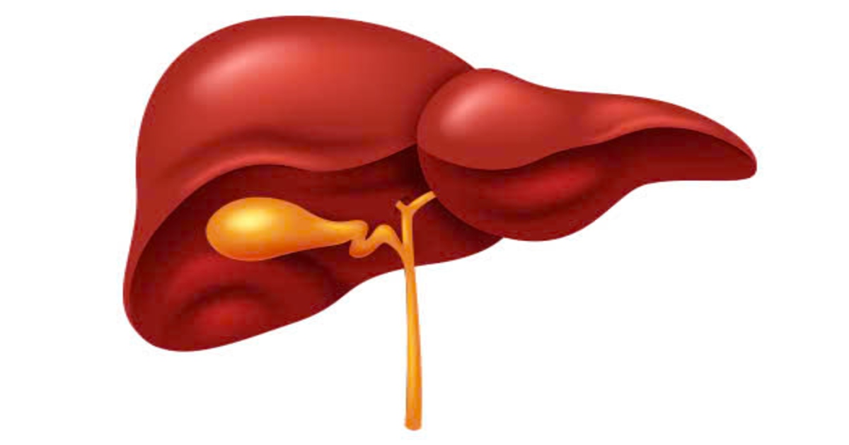 4 phương pháp thải độc gan khoa học giúp gan phục hồi thực sự