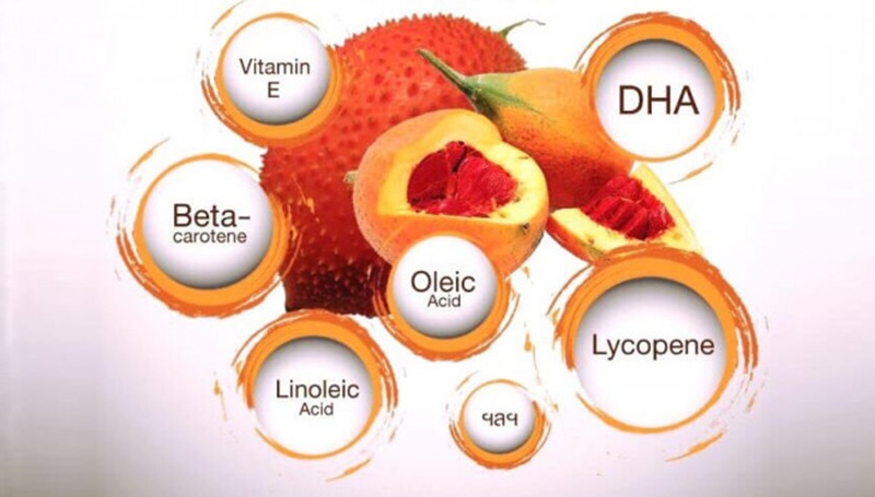 Quả gấc chứa nhiều dưỡng chất quý giá hỗ trợ sức khỏe toàn diện (Ảnh: Sưu tầm Internet)