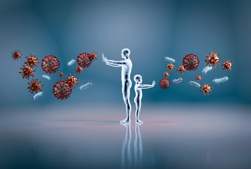 Tác dụng của quả gấc chín là giúp tăng cường hệ miễn dịch cho cơ thể (Ảnh: Sưu tầm Internet)