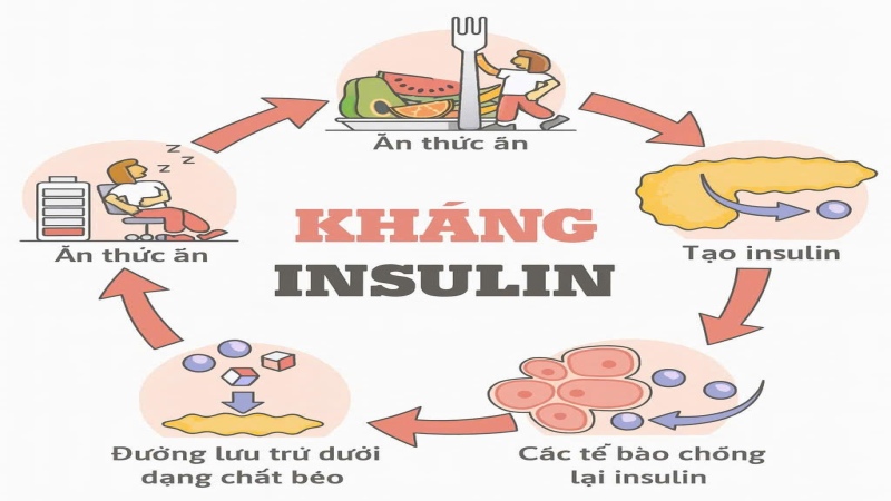 Tại sao bạn nên hạn chế tiêu thụ đường là thắc mắc rất được quan tâm (Ảnh: Sưu tầm Internet)