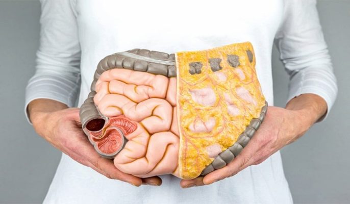 Thải độc mỡ nội tạng: Hiểu đúng cơ chế tích tụ và cách giảm mỡ an toàn theo y học hiện đại